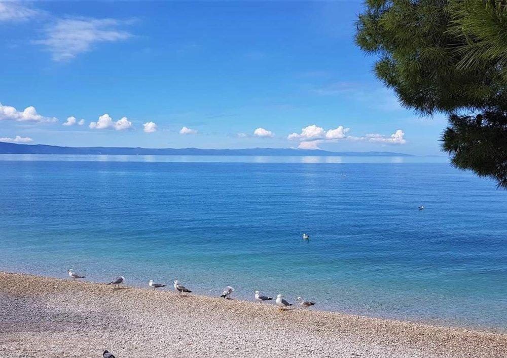 Apartmani Mirona - Tučepi Exteriör bild
