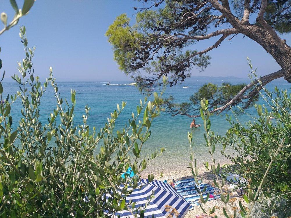 Apartmani Mirona - Tučepi Exteriör bild