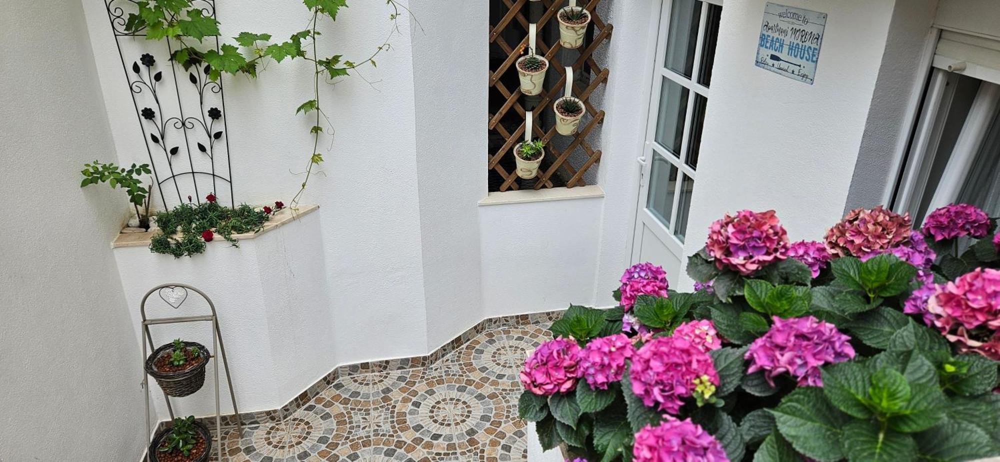 Apartmani Mirona - Tučepi Exteriör bild