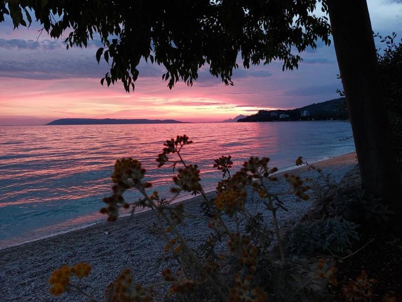 Apartmani Mirona - Tučepi Exteriör bild